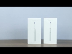 SN302 Escova de dentes elétrica sónica para adultos